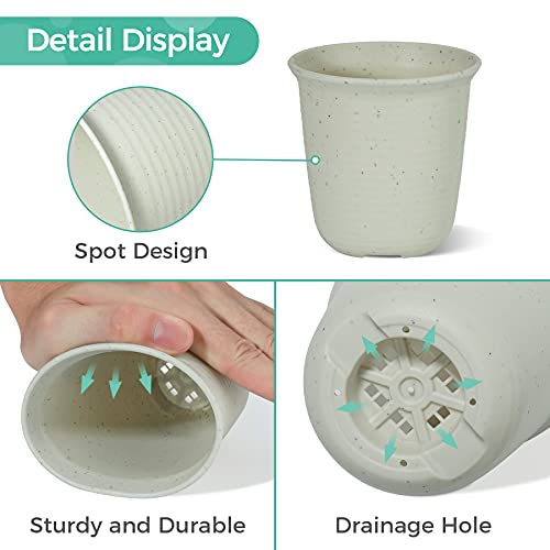 T4U 2.5 Inch Plastic Round Plant Pot/Cactus Flower Pot/Container Grey Set Of 10,Seeding Nursery Planter Pot With Drainage For Flowers Herbs African Violets Succulents Orchid Cactus Indoor Outdoor #TOP4