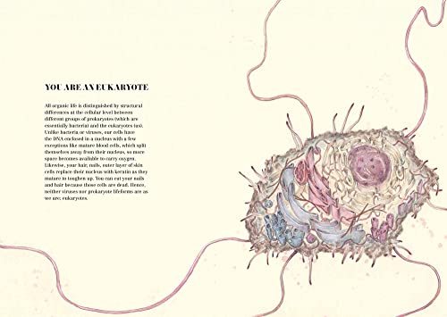 We Are All Apes - Image 2