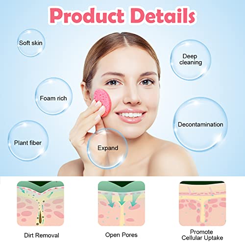 AUAUY Compressed Facial Sponges - Image 3