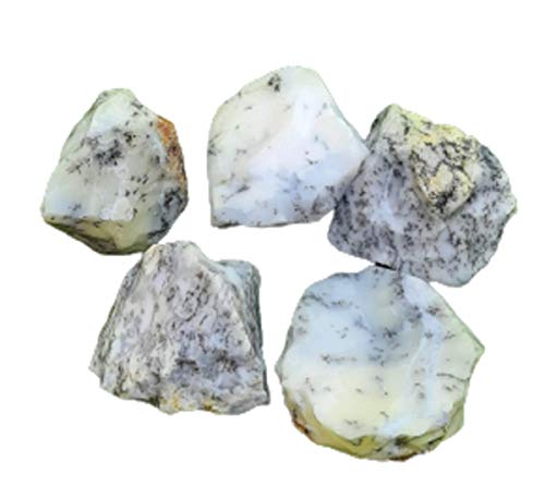 Ch VRIp[ e`N bN  CL C[WO NX^Xg[ (250gAfheBbNIp[)-B09PDWS9VP