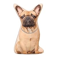 大きなブルドックのぬいぐるみ 71ECuMOYBnL._UF894,1000_QL80_.jpg