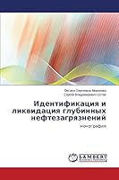 Идентификация и ликвидация глубинных нефтезагрязнений: монография 3659625027 Book Cover