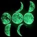 Phases of the Moon Kit with 8 Glow-in-the-Dark 3-D Moons and 67 Glow-in-the-Dark Adhesive Stars with Phases of the Moon Guidebook