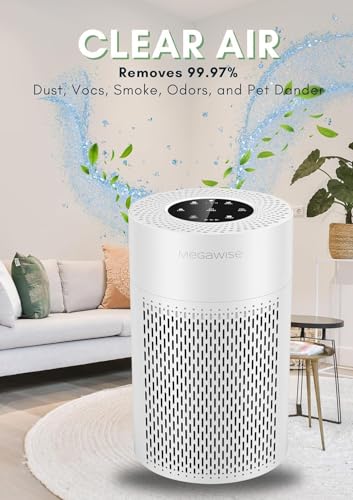 Purificador de Aire MEGAWISE para Uso en Hogar miniatura 5