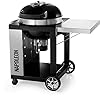 Napoleon Rodeo Pro Series Holzkohle Kugelgrill Mit Wagen