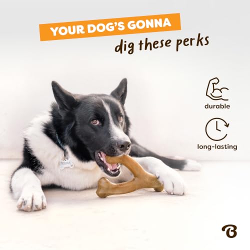 Image of Benebone Wishbone Dog Chew Toy for Aggressive Chewers, Venison, Medium