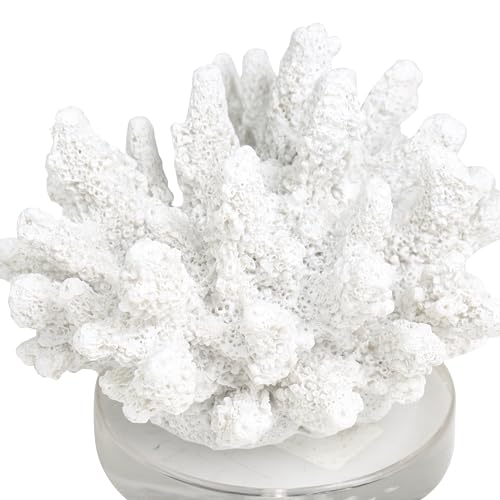 Escultura Decorativa de Coral Blanco Polystone 6" x 5" x 4" miniatura 4
