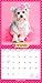 Puppies in Pink | 2026 12 x 24 Inch (Hanging) Monthly Square Wall Calendar | Plastic-Free | BrownTrout | Animals Fun Humor Pets