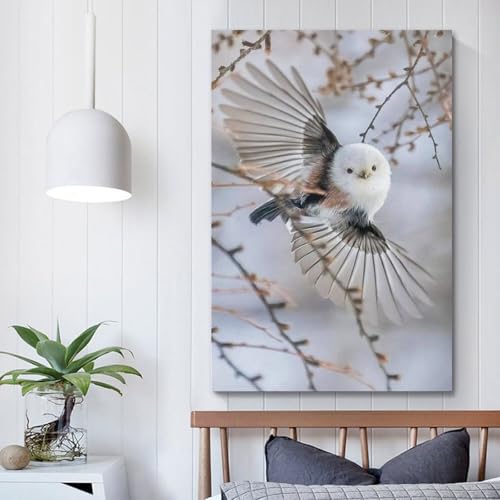 Poster mésange à queue allongée 60x90 décoration murale suspendue moderne - 5
