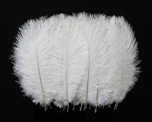 HOLLOSPORT 60Pcs White Ostrich Feathers Bulk 8-10 Inches for Crafts and Centerpieces for Wedding Birthday Gatsby Party Decorative Plumes for Vase & Table & Christmas Tree (20-25cm White)