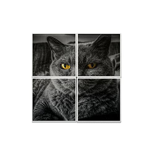Carreaux céramique chat de race décoration de cuisine style félin cosy