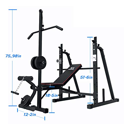 Adjustable Weight Bench, Foldable Fitness Weight Bench with Squat Rack, Leg Extension, Preacher Curl, Multifunctional Workout Station Weight Bench for Home Gym, Bench Press, Excluding Barbell