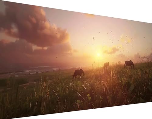 Diamond Painting Adulte Prairie 5D Peinture Diamant Cheval 70x140cm