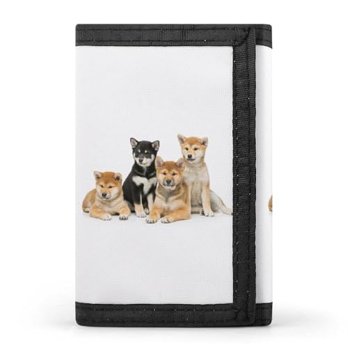 [YINGDAB] O܂z Č    ~jz J[hP[X z D fB[X Y J[h K Wallet  RpNg e ^ v[g