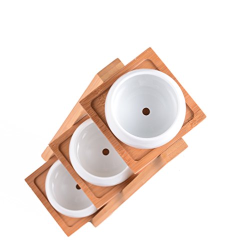 Jusalpha Ceramic Round Succulent Plant Pot, Flower Pots with Drainage Hole for Succulent Plants, Cactus and Herbs Pot with Bamboo Tray for Room Decor