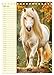 Magic of Ponies. Small Horses in Nature (Desk Calendar 2026 DIN A5 High), CALVENDO Monthly Calendar: The Endearing World of Ponies in Picturesque Landscapes