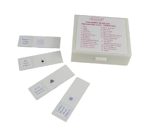 C & A Scientific Ps02 - Prepared Slide Sets - Intermediate Level #TOP1