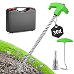 Forever Speed 30pcs Steel Tent Pegs with Box [Tip & Nail Tip] 9.8 inch Ground Pegs Camping Pegs with Thread,Heavy Duty Tent Pegs for Hard Lands, Forests, Lawns – Green