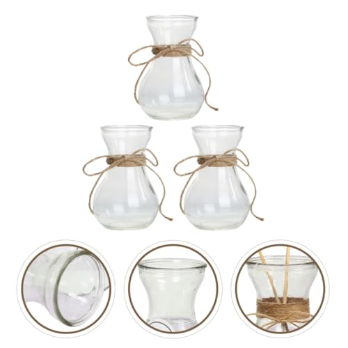 Jarrón de vidrio transparente hidropónico y contenedor de flores para interior 7