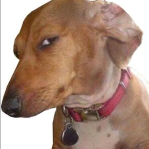 Did I get Scammed.. you tell me ?