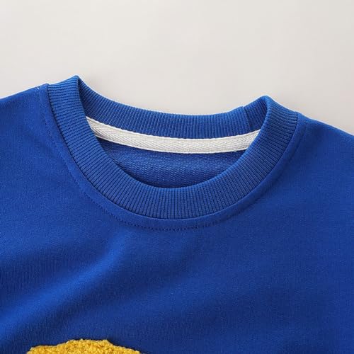 Boys Sweatshirts Long Sleeve Sweatshirts T-shirts Crew Neck Cotton Casual Sweatshirts Cartoon Tops for Boys-1623