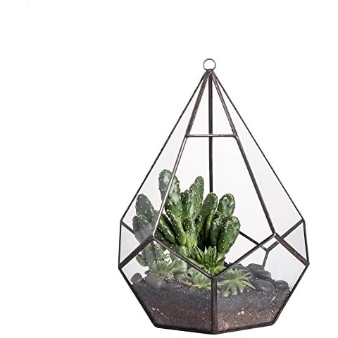 NCYP Large Geometric Hanging Glass Terrarium for Succulents Fern Cacti, Modern Indoor Handmade Diamond Shape Clear Planter Box, Tabletop Garden Flower Pot, Air Plant Holder 22.5cm (No Plants) Cover