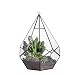 Modern Indoor Opening Wall Hanging Glass Geometric Terrarium Polyhedron Diamond Teardrop Shape Pot Tabletop Window Sill Balcony Decorative Planter Succulent Air Plant Holder Vase Centerpiece 8.6"