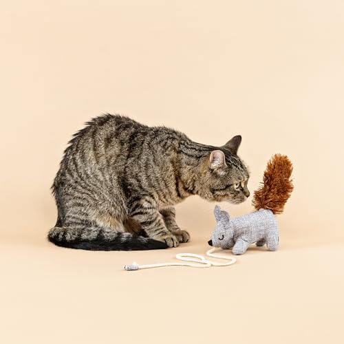 Fringe Un tuf Chat réchauffez un mur blanc froid avec ce textile