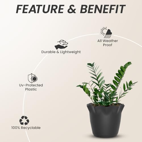Image of YUCCABE ITALIA SHERA Flower Plastic Flower Pot Unbreakable Round Shape Planter with Drainage Holes Planter Suitable for Home Garden Seedling Indoor and Outdoor (Grey, 4 INCH - 12 Pcs)