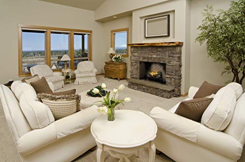 Dimplex Revillusion® 20" Plug-In Log Set (Model: Rlg20), 5118 Btu, 120 Volt, 1500 Watt #TOP3