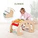 OOOK 2 in 1 Rainbow Climbing Toys - Pikler Montessori Climbing Set, Wooden Rocking Horse Toy, Children Indoor Outdoor Play Gym Learning Playset, Playground for Kids Present