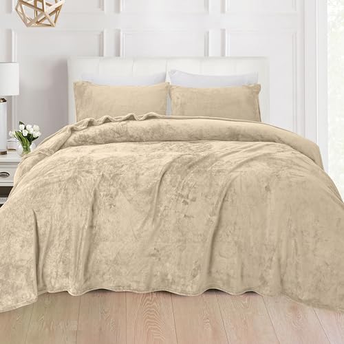 Elegant Comfort Luxuriously Soft 4-Piece Velvet Plush Flannel Sheet Set - Premium Quality - Cozy Warm, Anti-Static, Non Pilling Fuzzy Velvet Flannel Fleece Deep Pocket Sheet Set - Twin, Cream