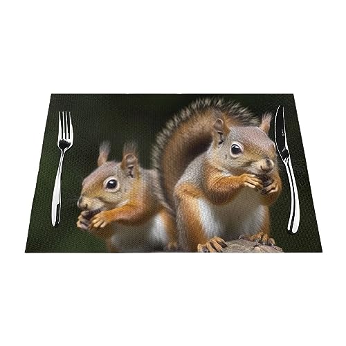Sets de table design écureuil en PVC tissé haute qualité