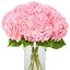 Pink Hydrangea Flowers