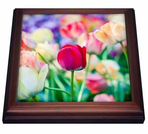 3dRose Red Tulip Trivet with Tile, 8 by 8