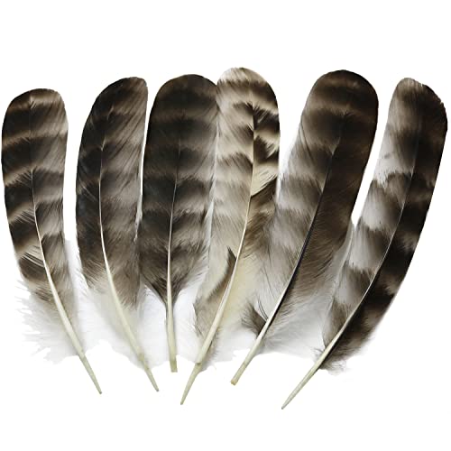 Natural Pheasant Feathers Luorng 30Pcs Wild Turkey Feather For Diy Craft 15-22Cm Assorted, Guinea Fowl Wing Quill #TOP2