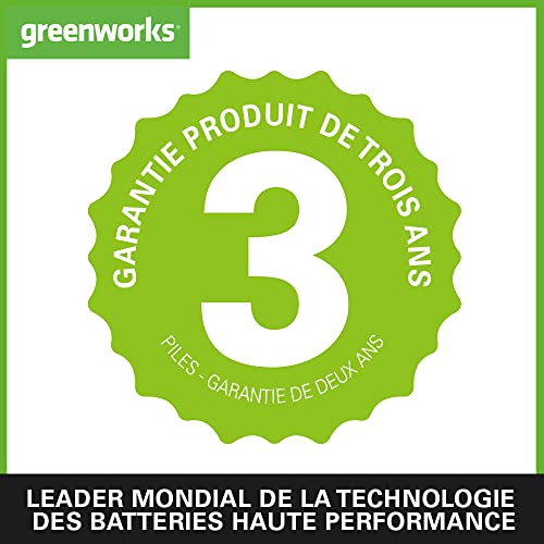 Greenworks 40V Élagueuse & Taille haie sur perche Batterie 2Ah - vue 7