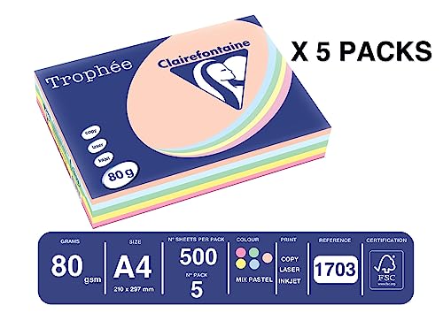 Papier A4 80g Clairefontaine 1703C ramette papier couleur pastel imprimante laser jet d'encre - 2