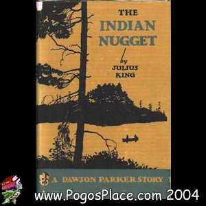 Hardcover THE INDIAN NUGGET Book