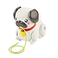 Fisher-Price Pets - Carlino Cammina con Me, cucciolo trainabile con guinzaglio e suoni, incoraggia a camminare e abbaia con il movimento, giocatolo per bambini, 12+ mesi, HTW94
