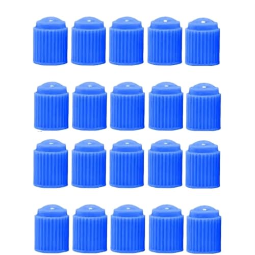 20 ԗpouLbv vX`bNzC[^CGAXeJo[    ^CouLbv  I[goC oCN ]ԗp(Blue)