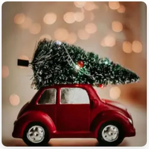 Canci&oacute;n &ldquo;Amor en navidad&rdquo; Aviva Le&oacute;n 360