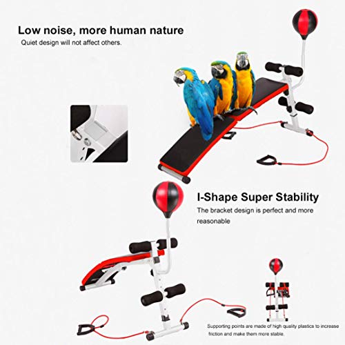 Prepare for your PlayStation 5,Game gym essentials, Ab Bench Decline Adjustable ,Incline Weight Bench Adjustable with A Pair of 1kg Dumbbells /Boxing ball