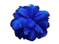 Algopix Similar Product 11 - 12 Lb 1719 Royal Blue Large