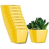 Gran regalo para los amantes de las plantas: dale una maceta o macetas de interior para plantas como un regalo calentará los corazones de tus amigos o familiares amantes de las flores. Sorpréndelos y regálalos esta sencilla maceta en la que puedes plantar su vegetación favorita. Y les encantarán estas bonitas macetas