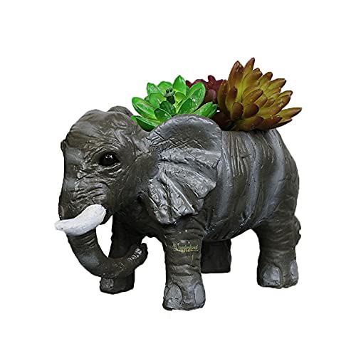 Wonderland Elephant Shape Succulent (Pots and planters Ideal fo Small Plants and Succulents) (B099NVVF32) Amazon Price History, Amazon Price Tracker