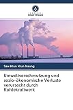 Umweltverschmutzung und sozio-ökonomische Verluste verursacht durch Kohlekraftwerk
