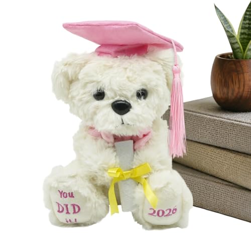 Ours en peluche diplômé 2026 doudou doux souvenir de remise de diplôme pour enfant et étudiant