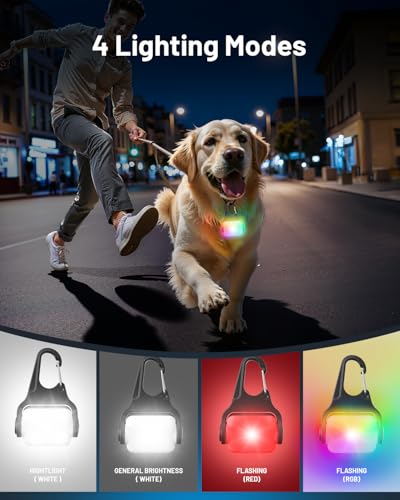 Lampe collier chien étanche IP65 et rechargeable 3 modes - 10