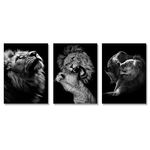 3 Poster Set, Premium bilder Löwe set leinwand bilder Kunst Poster, Modern...